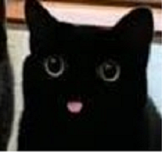 my avatar